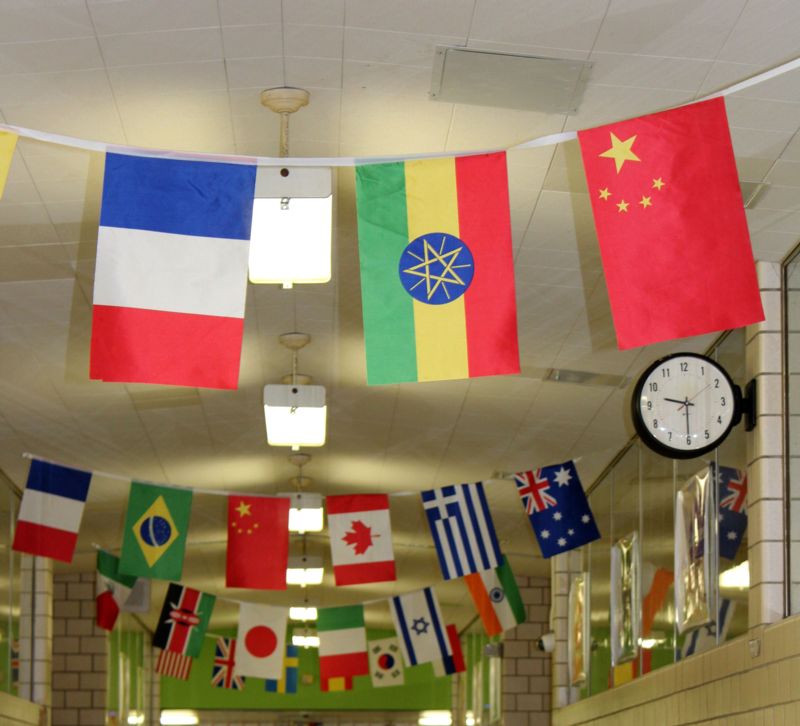 International Flags at Raisinville Elementary