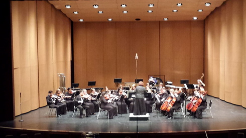 MHS Orchestra Earns 1st Division Rating!