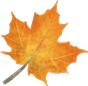 No School Friday, October 30