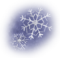 School Closed 1/29-1/31